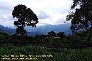02 Taiwan- Region de Tainan 029
